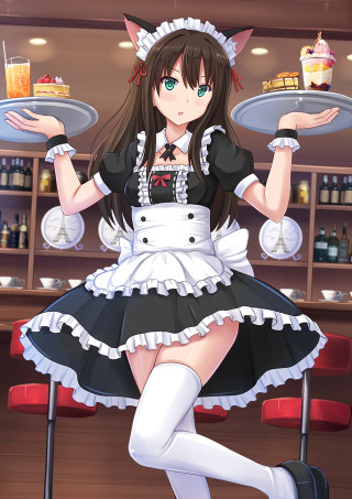 Woman maid outfit tray food - a cat free wallpaper for mobile