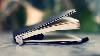 Book opened table blurry plant - book cover free wallpaper for desktop