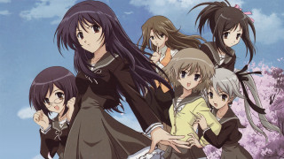 Anime girls tree pink flowers 3 - pink flower free wallpaper