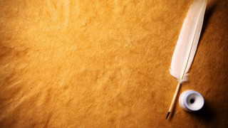 Feather quill tape table brown - de hirsh margule free wallpaper