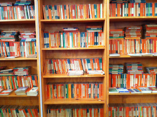 Bookshelf cat sitting floor books - typographic free wallpaper