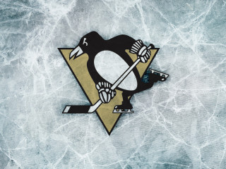 Penguin hockey sticker ice rink - ice and snow free wallpaper