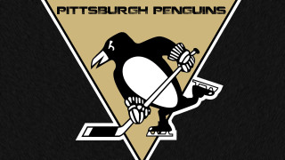 Penguin hockey stick puck Pittsburgh - its paw free wallpaper