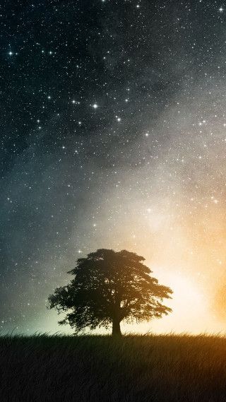 Lone tree night sky stars - a bright light free wallpaper for mobile