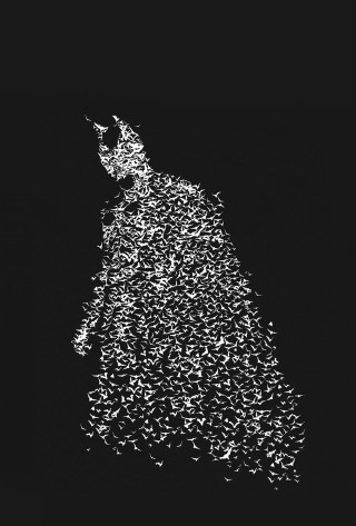 Man birds coat hat black - dark night free wallpaper for mobile