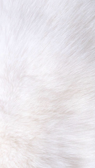 White fur black background white - free textures wallpaper for mobile