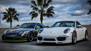 Porsches parking lot palm trees - palm tree free wallpaper