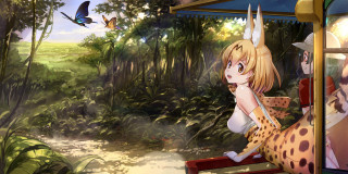 Girl bench forest cat bird - overhead in the background free wallpaper