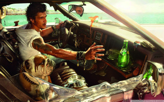 Man driving car dog passenger - a man driving free wallpaper