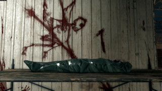 Green bag wooden shelf graffiti - cryengine free wallpaper for desktop