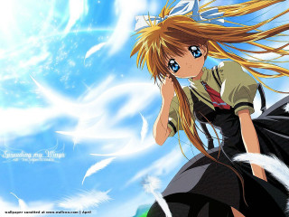 Alice longhair blueeyes blacksleeves sky - anime visual free wallpaper