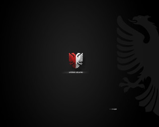 Black background red white bird - free minimalism wallpaper for desktop