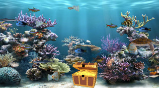 Underwater edenbox aquarium fish corals - eden box free wallpaper