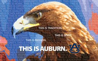 Bald eagle auburn tradition passion - a caption free wallpaper