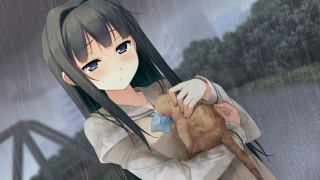 Girl holding cat rain bridge - a girl holding free wallpaper