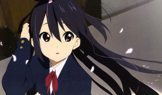 Girl suit tie long hair - long hair and a ponytail free wallpaper