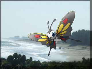 Cartoon butterfly beach ocean sky - craola free wallpaper for desktop