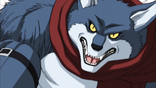 Cartoon wolf scarf collar red - a scarf free wallpaper