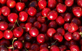 Cherries pile red fruit tabletop - a table top free wallpaper