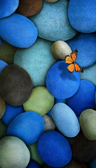 Butterfly sitting rock blue green 3 - rock and pebbles free wallpaper