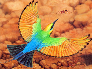 Bird bug background fly air - oil painting free wallpaper