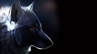Wolf red eyes fullmoon night - a full moon behind free wallpaper