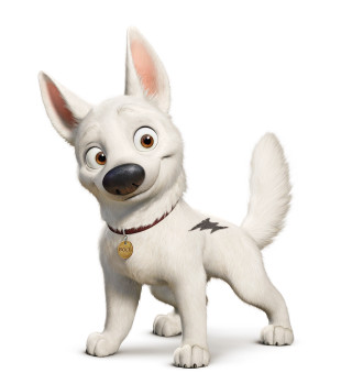 Cartoon dog collar collared collar - free dogs wallpaper for tablet