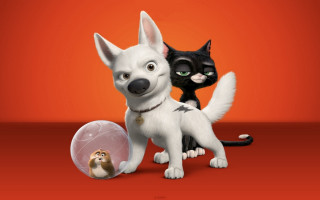 Cat dog red background ball - a ball in front free wallpaper