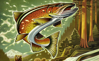 Jumping fish catching air bear - nearby free wallpaper