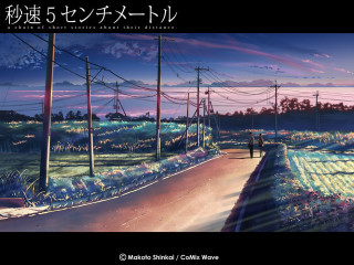 Person walking road night powerlines - power free wallpaper