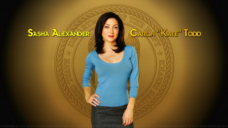 Woman blue shirt gold background - a gold background free wallpaper