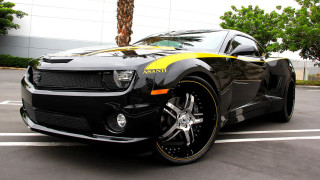 Black yellow car parking palm - a palm tree in the background free wallpaper