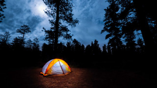 Tent lit dark woods night - a tent free wallpaper