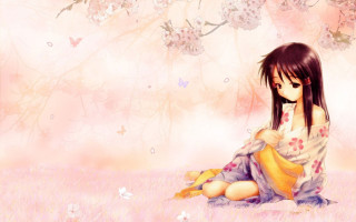 Girl field flowers teddy bear - overhead free wallpaper