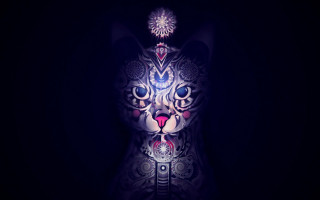 Cat glowing face dark pattern - a pattern free wallpaper for desktop