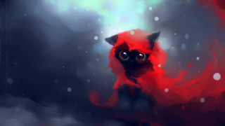Red cat big eyes sitting - a red surface free wallpaper