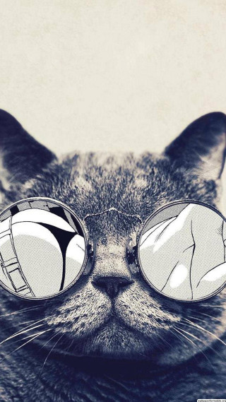 Cat glasses eyes closed surprised - free cats wallpaper for mobile