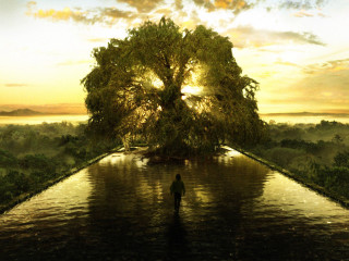 Man standing water tree middle - benoit b. mandelbrot free wallpaper