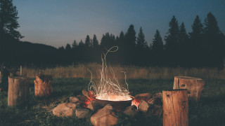 Fire pit wire logs trees - liminal space free wallpaper