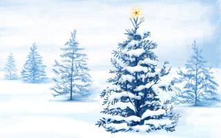 Christmas tree star snow covered - ground free wallpaper for desktop