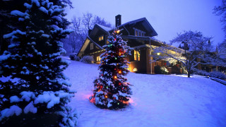 Christmas tree lit house snow - atmospheric free wallpaper