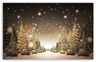Snowy scene trees snow falling 2 - a snowy scene free wallpaper for desktop