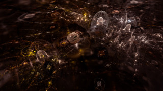 Bottles dark room lights bubbles - bottle free wallpaper
