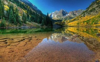 Mountain lake forest yellow leaves 2 - yellow leaf free wallpaper