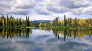 Lake trees mountain clouds foreground 3 - bob ross free wallpaper
