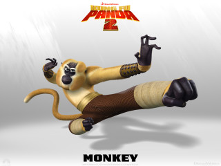 Monkey air legs spread head - his leg free wallpaper for desktop