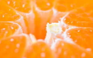 Oranges water droplets yellow center - assemblage free wallpaper for desktop