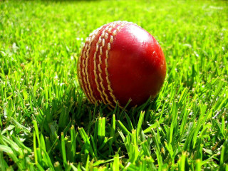 Red cricket ball green field - new objectivity free wallpaper