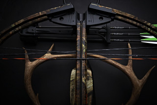 Bow arrows black surface green - accurate free wallpaper