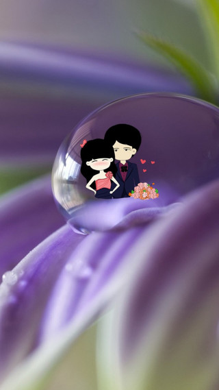 Couple bubble flower petals green - free flowers wallpaper